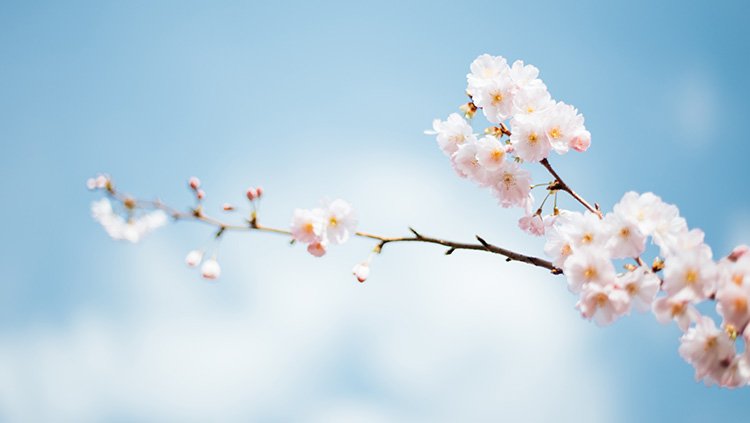 首页-OB视讯厅真人官方网站