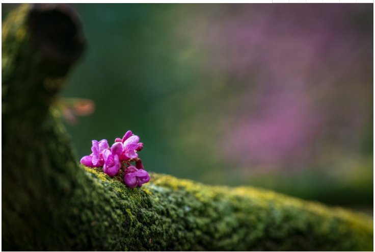 首页-OB视讯厅真人官方网站