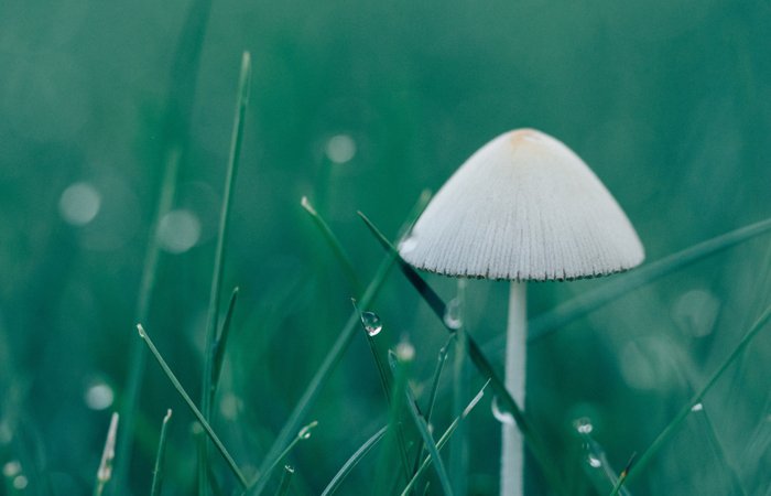 首页-OB视讯厅真人官方网站