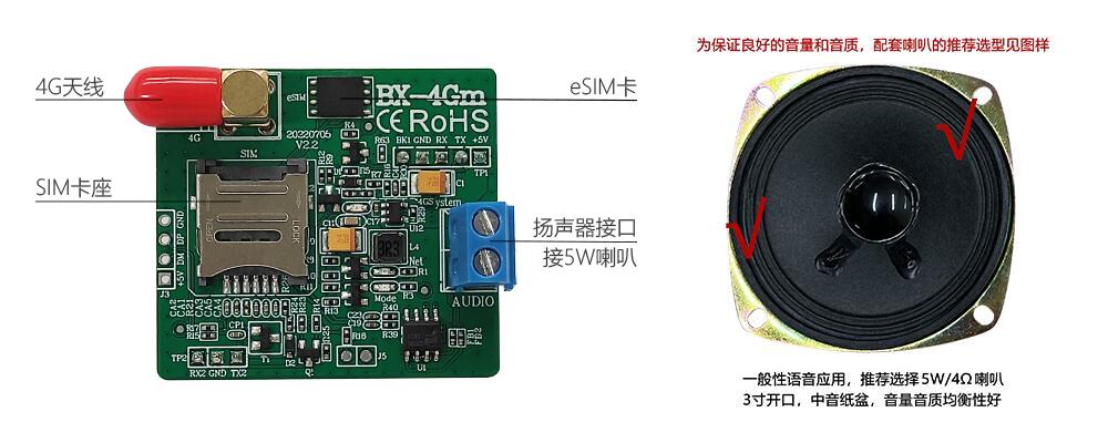 PP王者电子(PP)官方网站 - 正版试玩平台